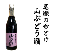 国菊　あまざけ